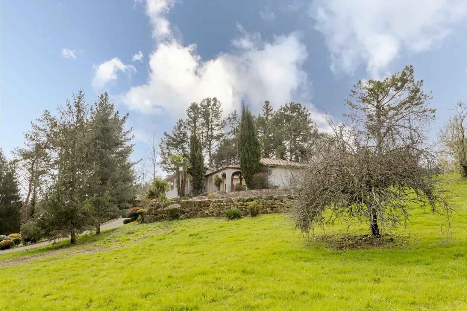 6451d436d2ee7bd5aed069fa380cab55 6ea946a51e 1560 original - Translation missing: en.helpers.application.image_tag.default_alt