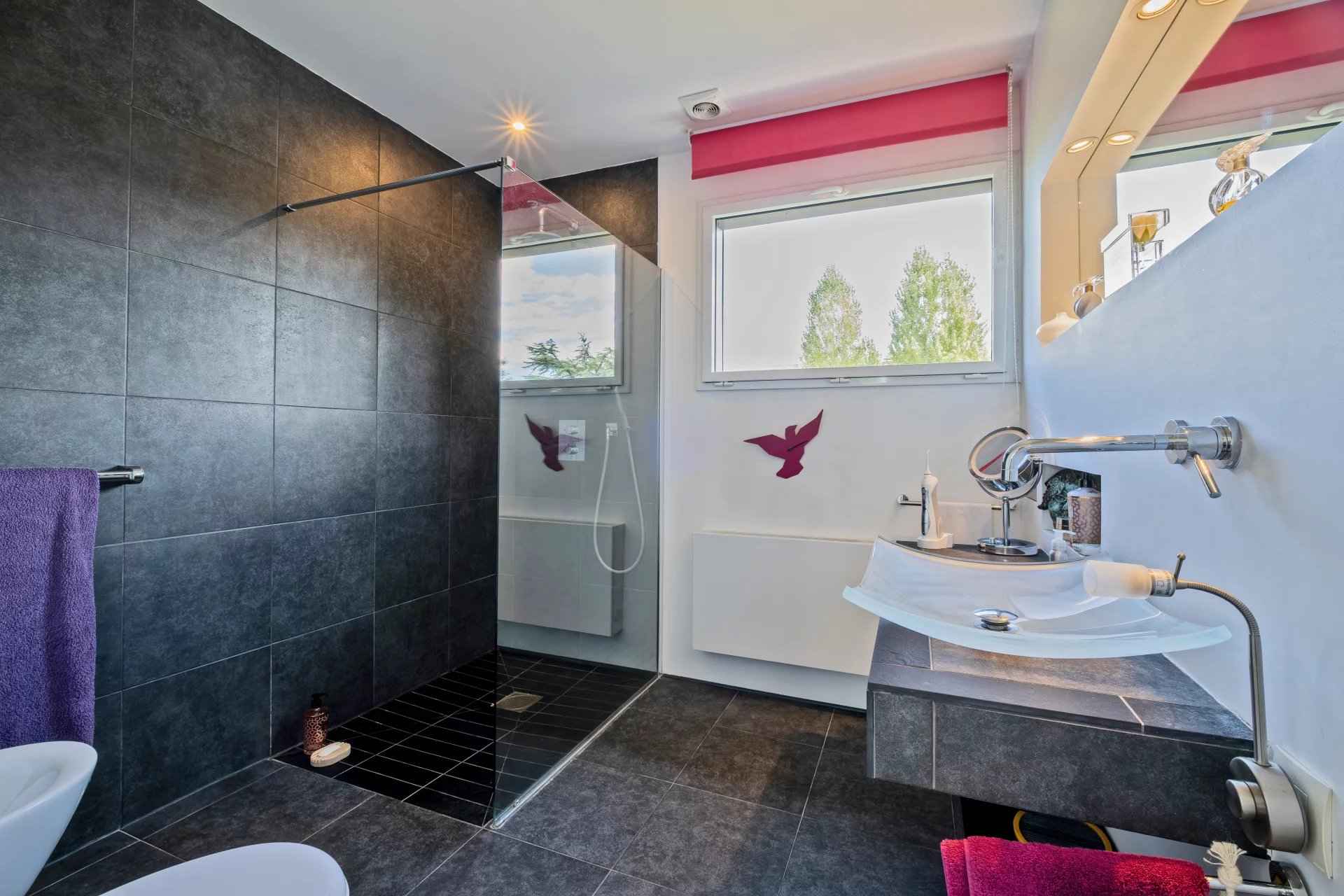 Cd8381db585f298e9f08a4244187f36e 0e5e6c5fc6 1920 original - Translation missing: en.helpers.application.image_tag.default_alt