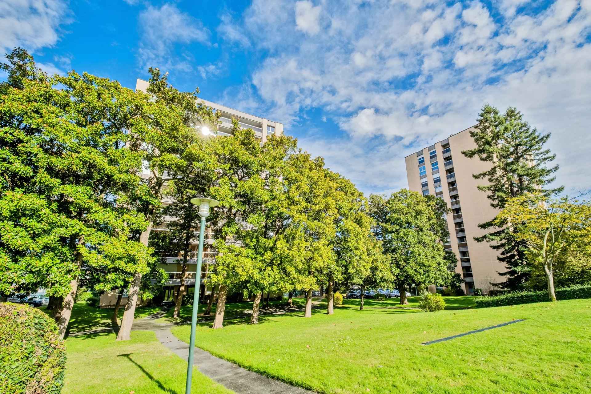 966f6f5134037e61774da3d3c5744c6f fcc419e4ac 1920 original - Translation missing: en.helpers.application.image_tag.default_alt