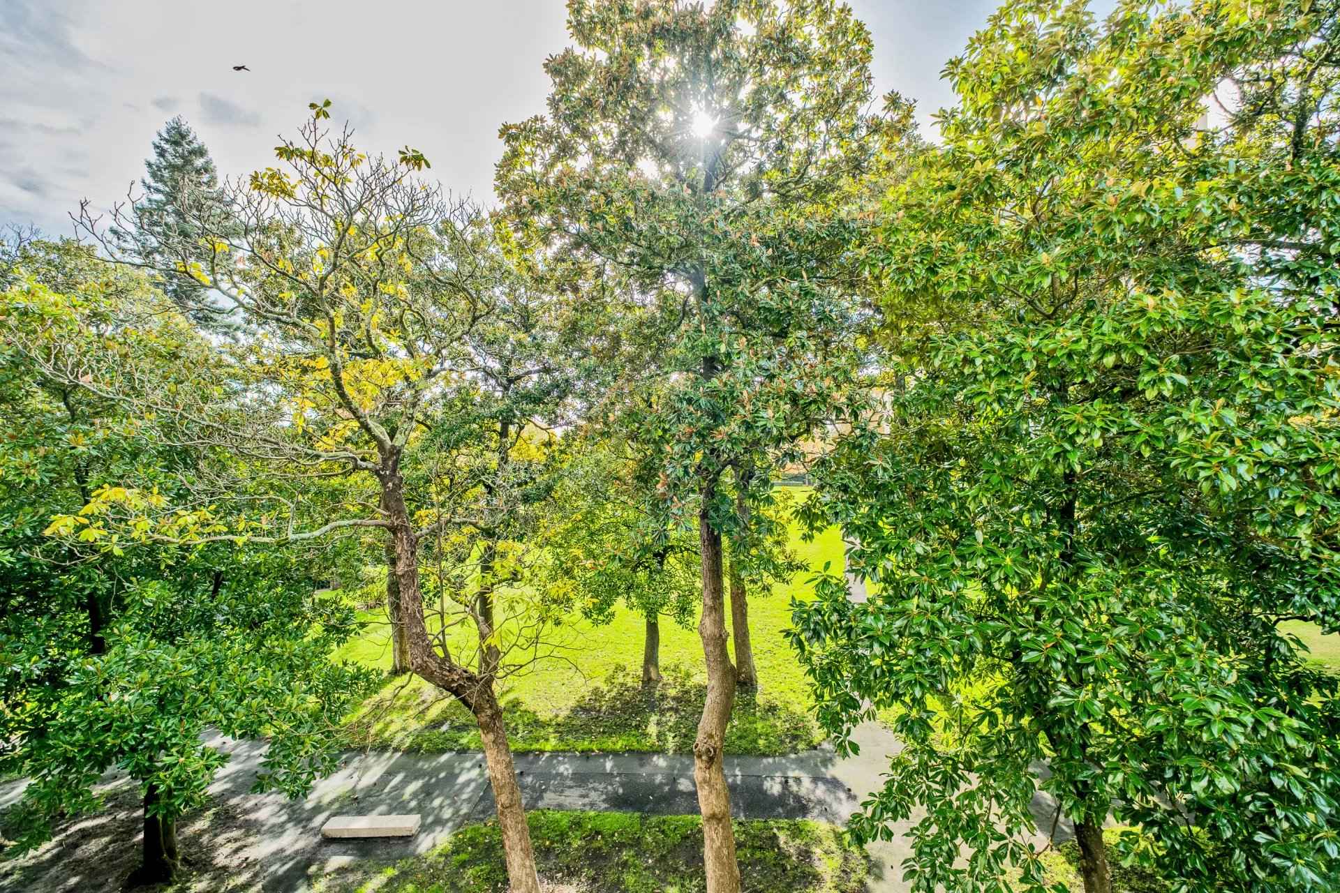 3a91022e47e98d9053cb91abc844c776 8a034d5328 1920 original - Translation missing: en.helpers.application.image_tag.default_alt