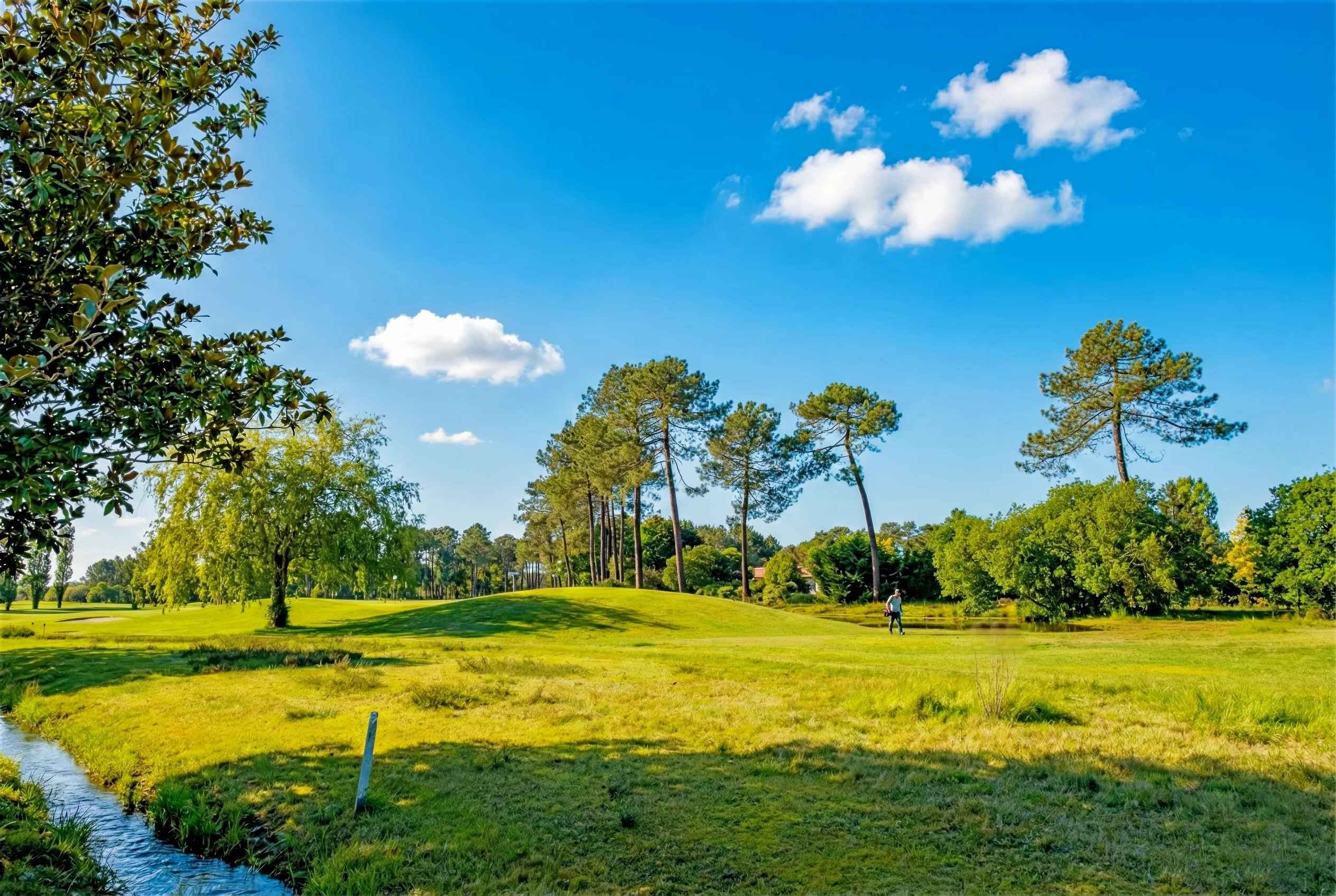 B43a51e7a9b2cf07dbfe317e594c64eb 7a7b4d9a2a 2528 original - Attribut alt par défaut.