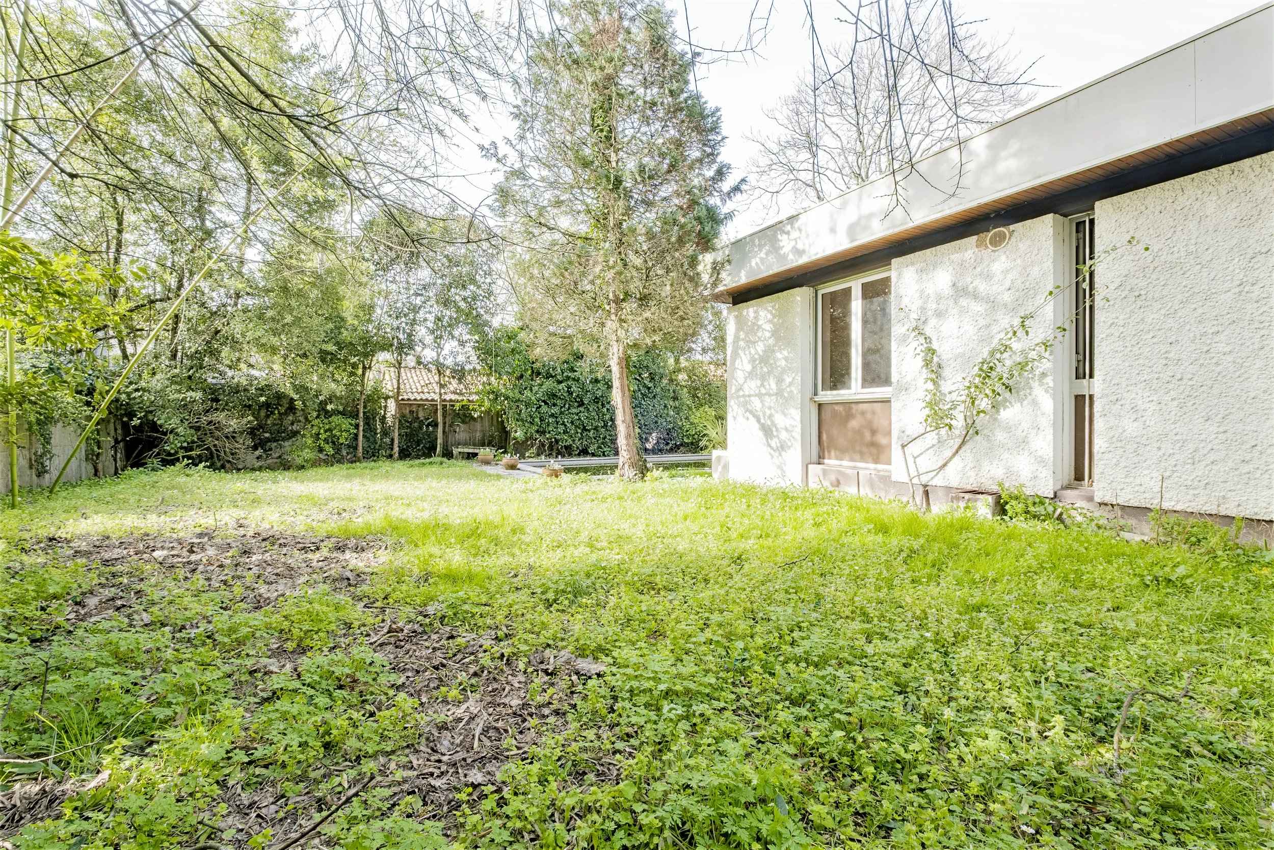 6711a7cefeda3edfbd54b6b3d4e1dc3b 4ce0c2e272 2500 original - Translation missing: en.helpers.application.image_tag.default_alt