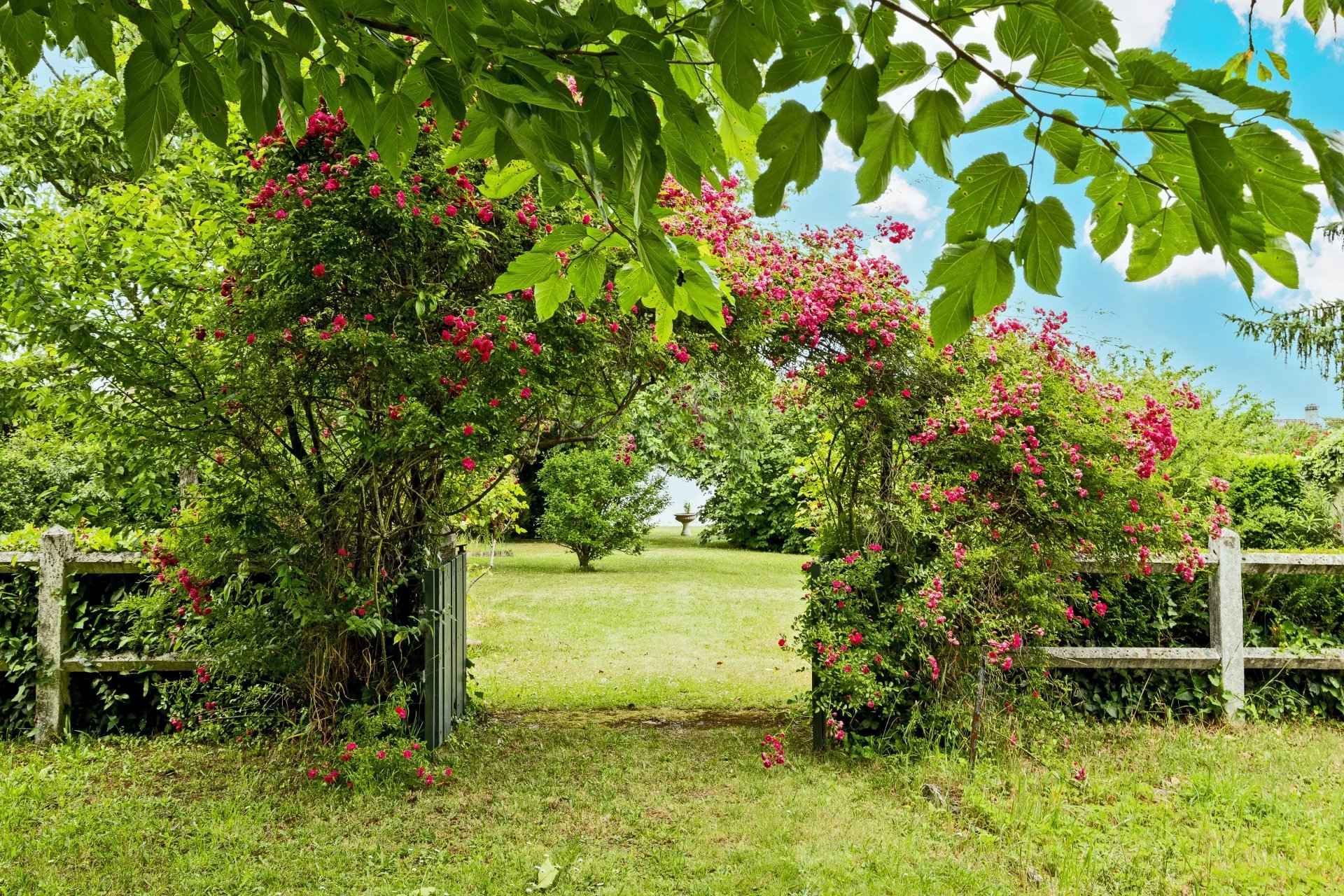 Ba317211009a4a7f1618cf4ba83b3a4f bfbc884853 1920 original - Attribut alt par défaut.