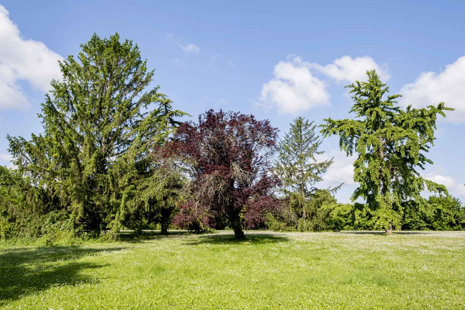 5b52af0c22686ae584bb625116a27a22 6a11ba47ec 1920 original - Translation missing: en.helpers.application.image_tag.default_alt