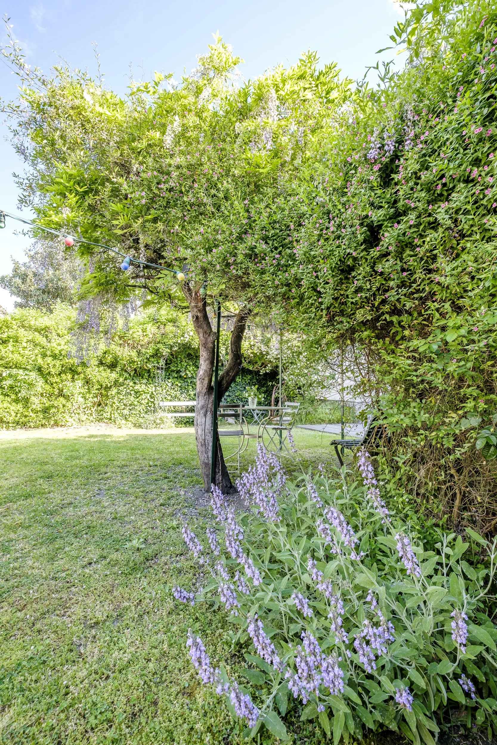 3c1ddc8a2cebd1ab01e4ad23665e2b87 dce54f2905 2500 original - Translation missing: en.helpers.application.image_tag.default_alt