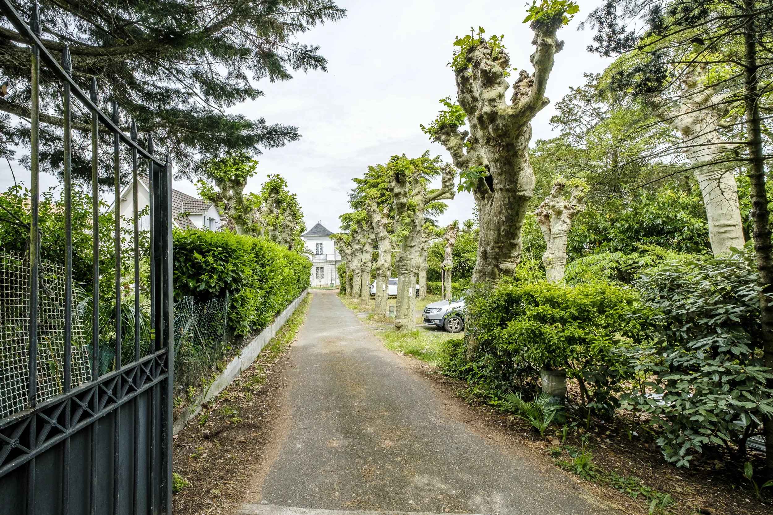 4280459a078b22f2de452e2cd255e305 f17f6fc1f6 2500 original - Translation missing: en.helpers.application.image_tag.default_alt