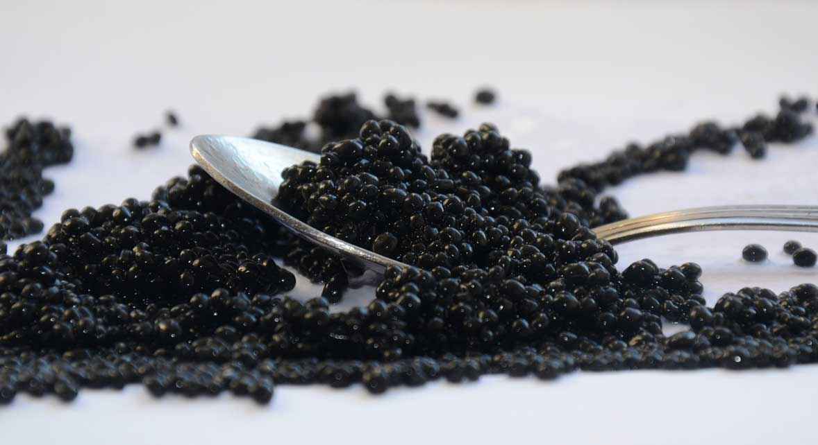 caviar d'aquitaine caviar d'aquitaine
