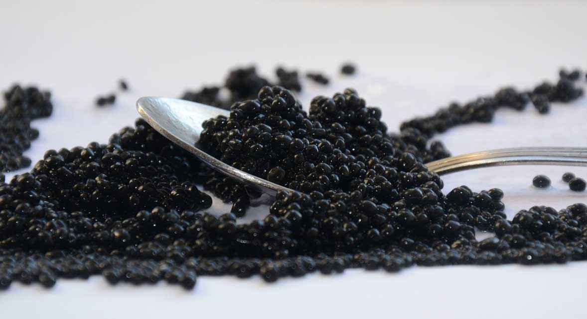 caviar d'aquitaine